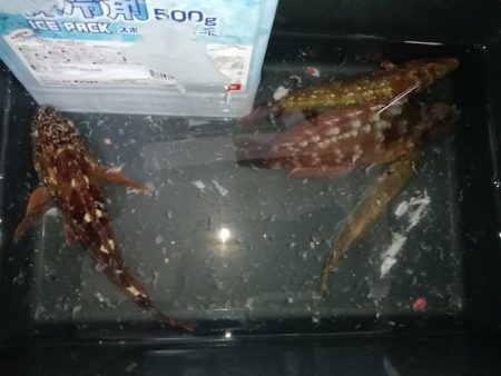 夕暮れ穴釣り