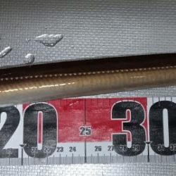 夜間釣行大アナゴ