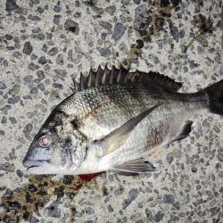 下り坂転がり中