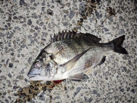 下り坂転がり中