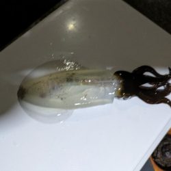 大分厳しくなってきた