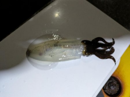 大分厳しくなってきた