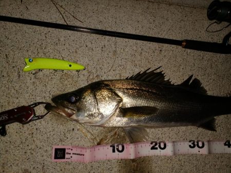 イナッコパターン攻略！