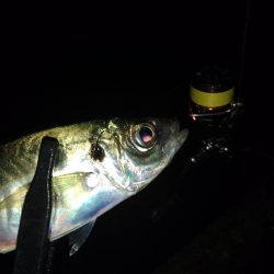 フロートゲーム~