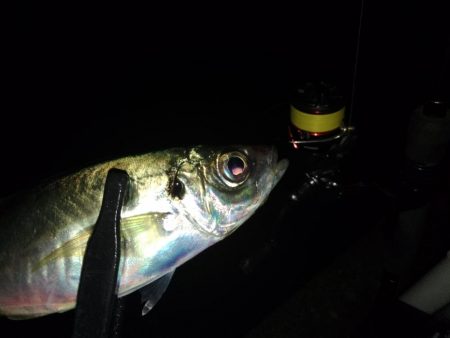 フロートゲーム～