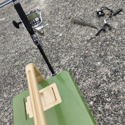 色々狙ってみました!