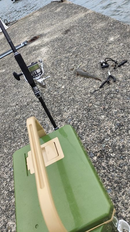 色々狙ってみました!