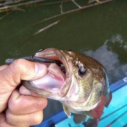 パワーフィネスで1本