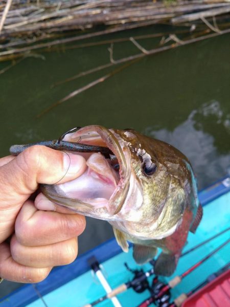 パワーフィネスで1本