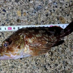 サイズチョイUp