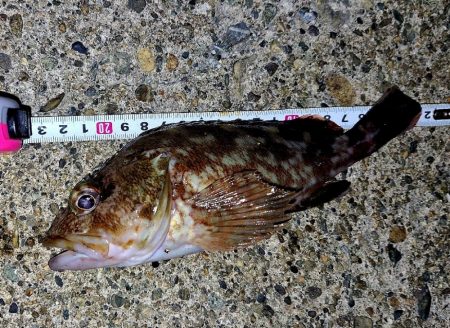 サイズチョイUp