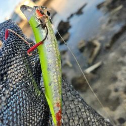 クロスウェイクチニング