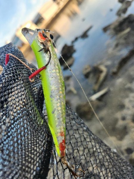 クロスウェイクチニング