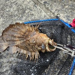 広島市内海エリアボトムゲーム