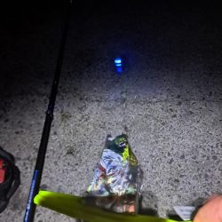 久しぶりに3連発