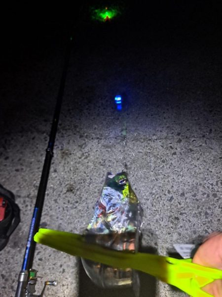 久しぶりに3連発