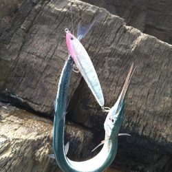 ロックショアデイゲーム