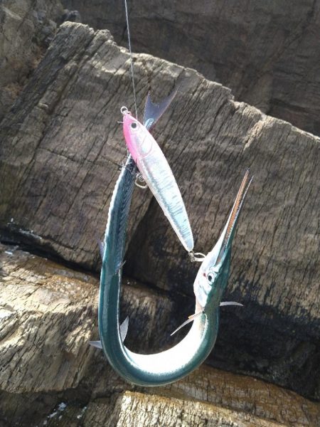 ロックショアデイゲーム