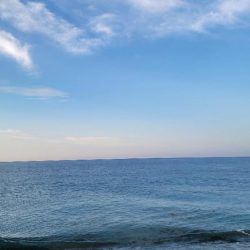 青物調査とカゴ釣り