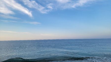 青物調査とカゴ釣り