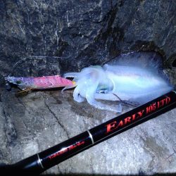 超ヘビータックルエギング