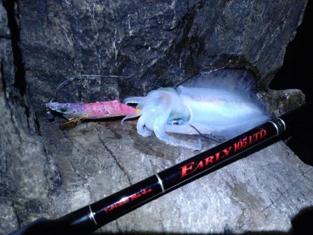 超ヘビータックルエギング