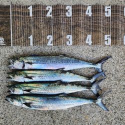 今週も好スタート🎣