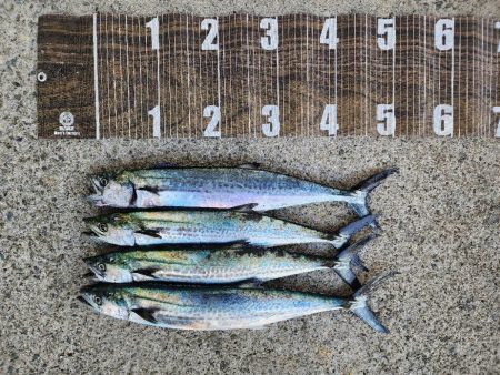 今週も好スタート🎣