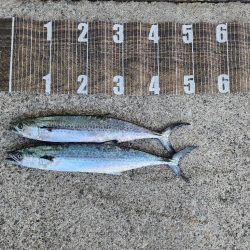 久々カッター(>_<)