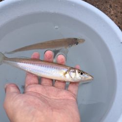 落ちキスが最高