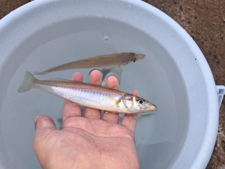 落ちキスが最高