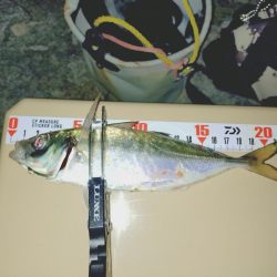 今秋初フロートアジング🎣