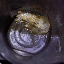 ティップラン苦戦！