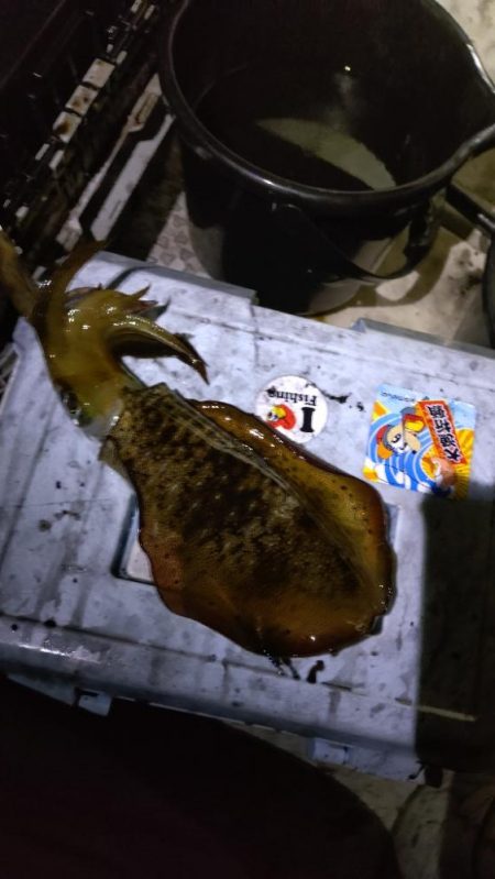 サイズアップティップラン