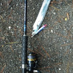 ベイトの湧く量が……