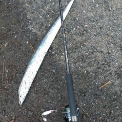 平日も満員御礼