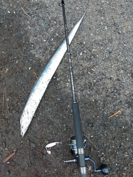 平日も満員御礼