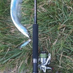 台風22号と23号のはざまで