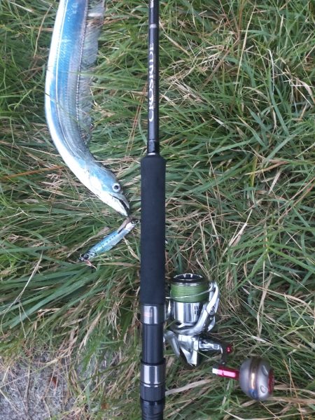 台風22号と23号のはざまで