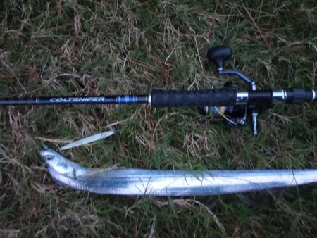 雨でも釣り人集まってます