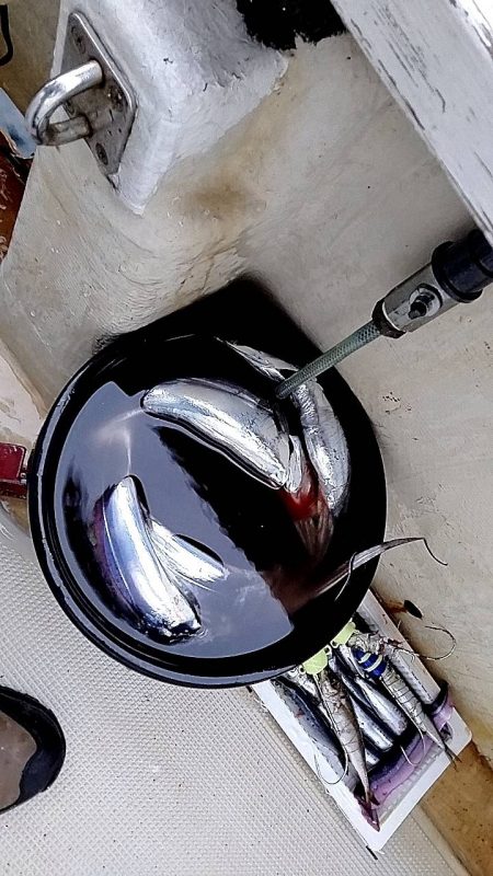 1091丸タチウオテンヤ釣り