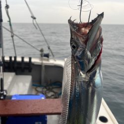 大分でテンヤタチウオやってきました