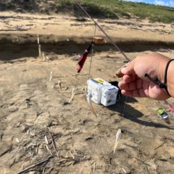 今季はなかなか来ない新松原海岸での投げ釣りです