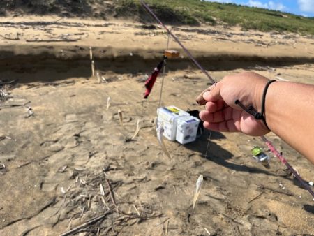 今季はなかなか来ない新松原海岸での投げ釣りです