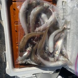 唐津の浜に行ってみました