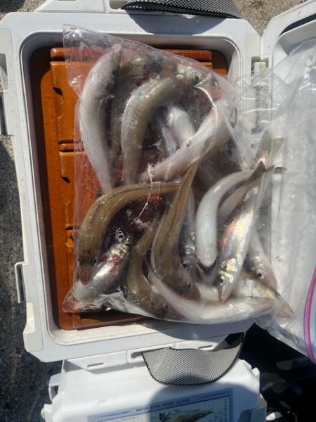 唐津の浜に行ってみました