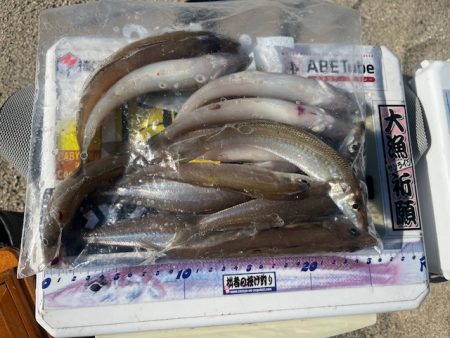 今日も唐津の浜で投げてみました