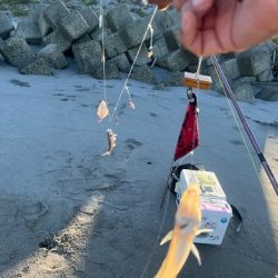 吹上浜で久しぶりに投げ釣りしました