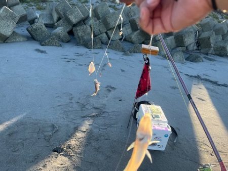 吹上浜で久しぶりに投げ釣りしました