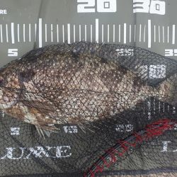 フカセ釣りで強烈な引き！